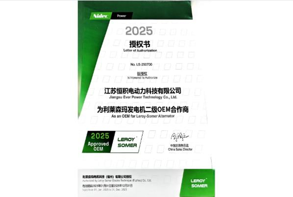 Leroy Somer OEM