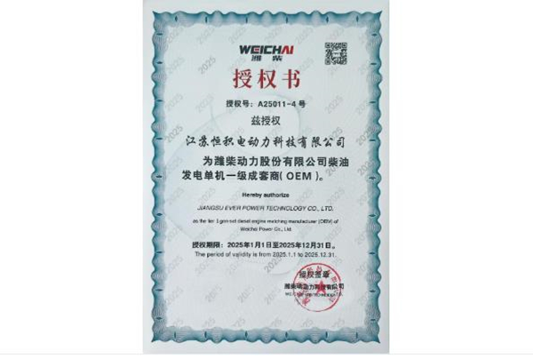 Weichai OEM
